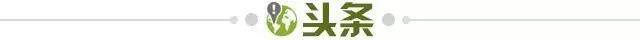 c49841d6-c7d6-4b36-92b1-1c2021fbbc94.jpg@!img01